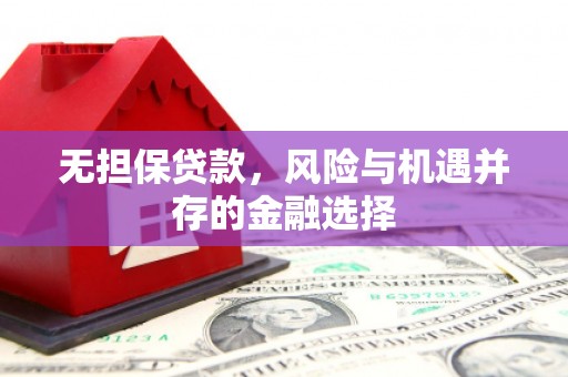 九江无担保贷款，风险与机遇并存的金融选择