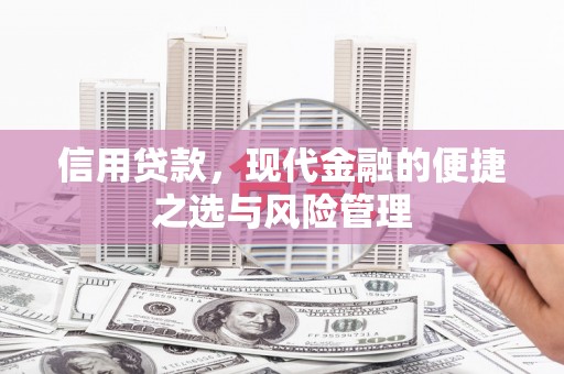 长寿信用贷款，现代金融的便捷之选与风险管理