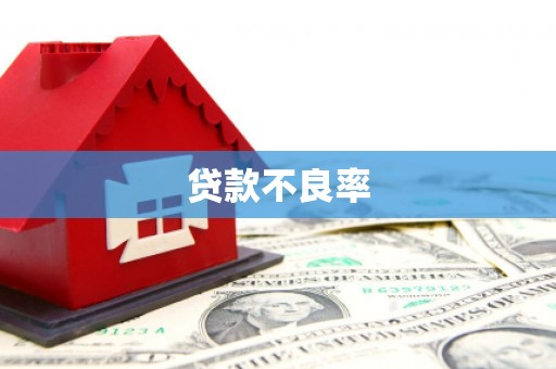 大堂贷款不良率