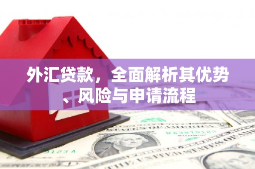 柳河外汇贷款，全面解析其优势、风险与申请流程