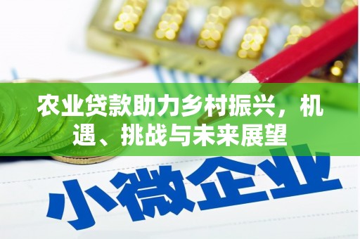 安仁农业贷款助力乡村振兴，机遇、挑战与未来展望