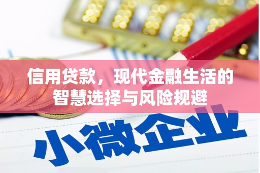 昭化信用贷款，现代金融生活的智慧选择与风险规避