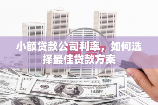 黑龙江小额贷款公司利率，如何选择最佳贷款方案