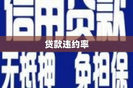夏县贷款违约率