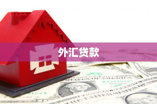 吴川外汇贷款