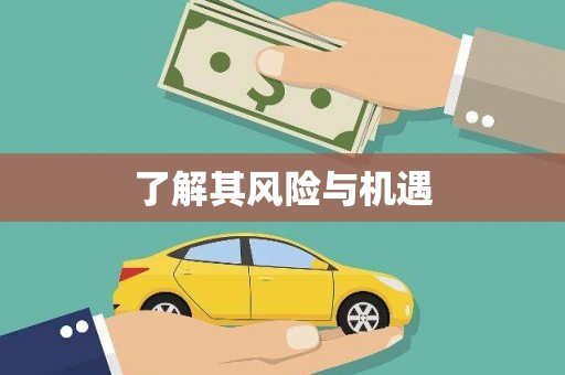 夏河了解其风险与机遇