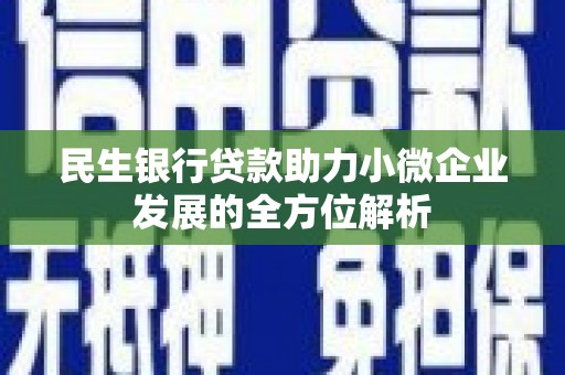 丽水民生银行贷款助力小微企业发展的全方位解析