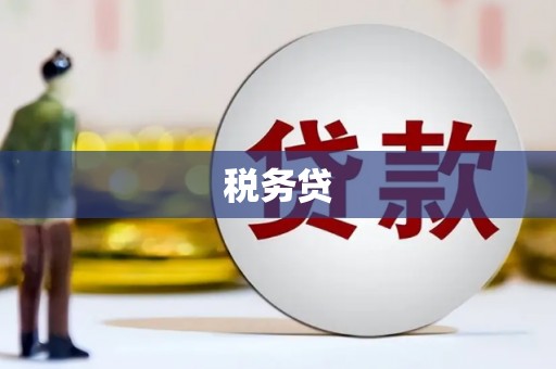 南郊税务贷