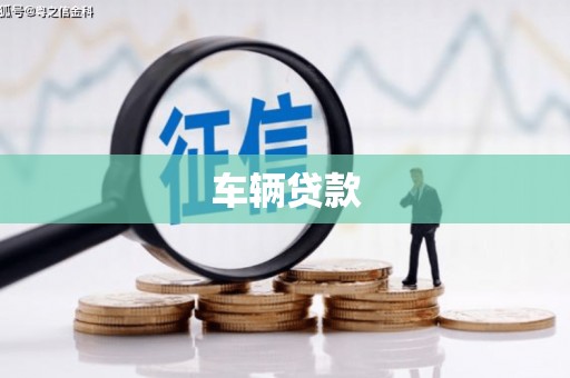 嵊州车辆贷款