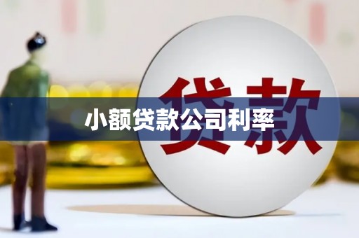 东安小额贷款公司利率