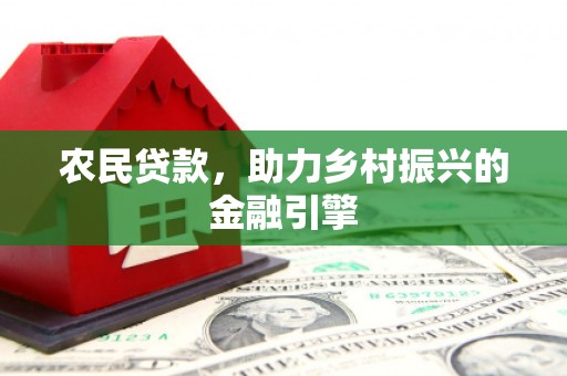大林农民贷款，助力乡村振兴的金融引擎