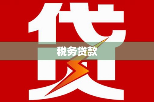 永登税务贷款