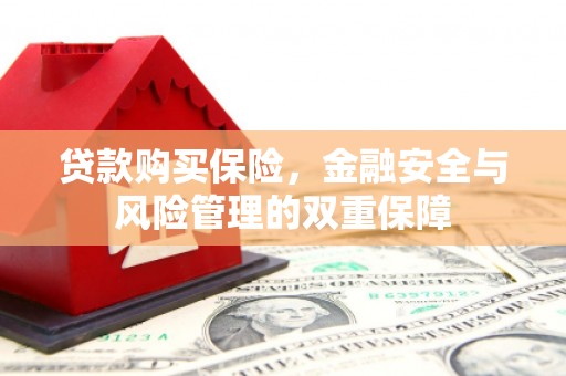 武汉贷款购买保险，金融安全与风险管理的双重保障