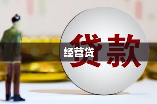 永善经营贷