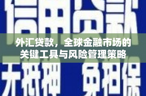 额尔古纳外汇贷款，全球金融市场的关键工具与风险管理策略