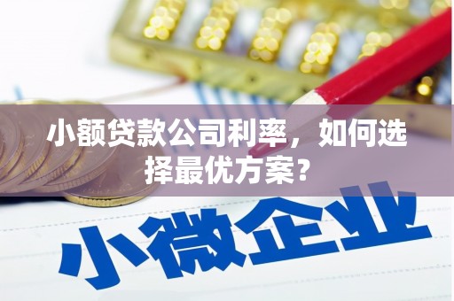 金阳小额贷款公司利率，如何选择最优方案？