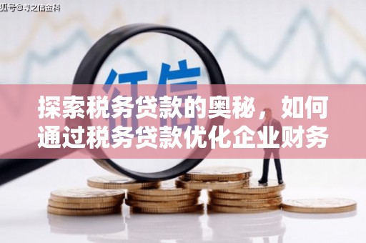 尼玛探索税务贷款的奥秘，如何通过税务贷款优化企业财务