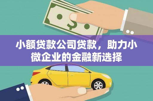榕城小额贷款公司贷款，助力小微企业的金融新选择