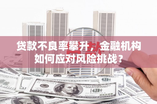 柳南贷款不良率攀升，金融机构如何应对风险挑战？