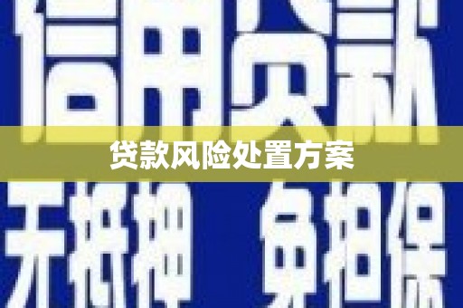 依兰贷款风险处置方案