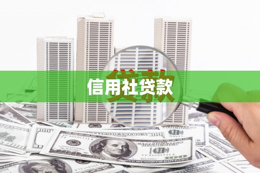 宁陵信用社贷款