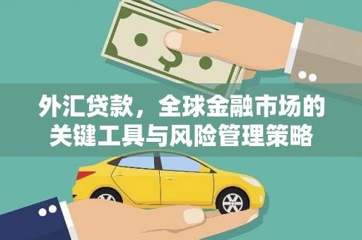 郁南外汇贷款，全球金融市场的关键工具与风险管理策略