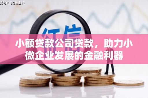 务川小额贷款公司贷款，助力小微企业发展的金融利器