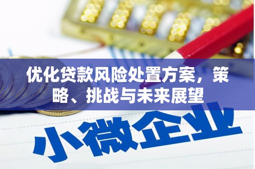 郁南优化贷款风险处置方案，策略、挑战与未来展望
