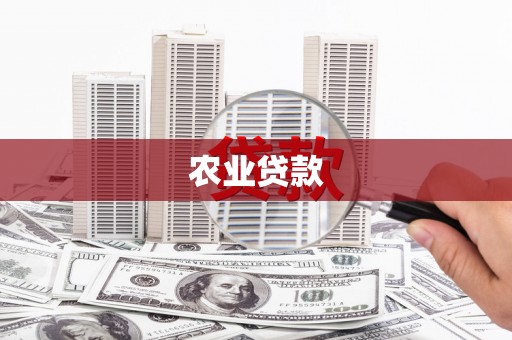 会理农业贷款