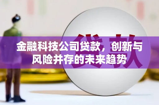 西峰金融科技公司贷款，创新与风险并存的未来趋势