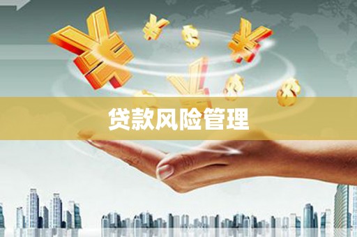 沁县贷款风险管理