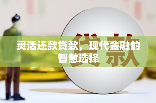 灞桥灵活还款贷款，现代金融的智慧选择