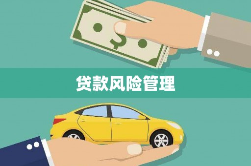 镇原贷款风险管理