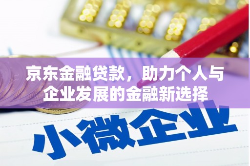 施甸京东金融贷款，助力个人与企业发展的金融新选择