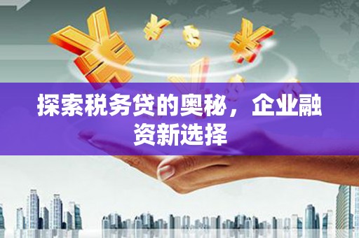 龙泉驿探索税务贷的奥秘，企业融资新选择