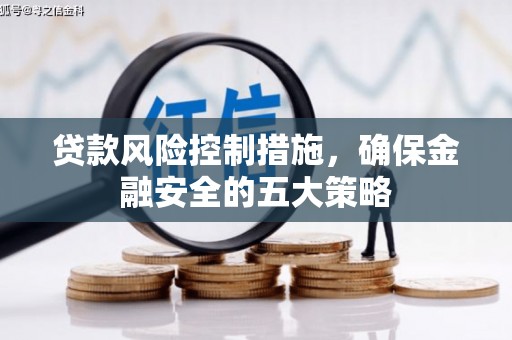 庆元贷款风险控制措施，确保金融安全的五大策略