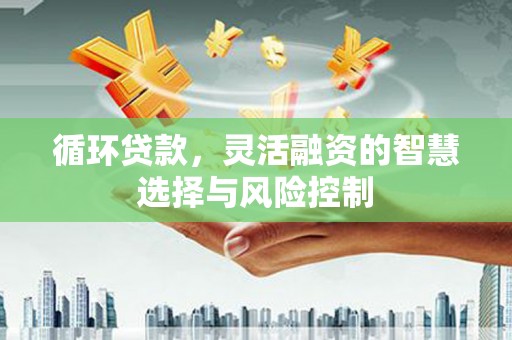 阿莲循环贷款，灵活融资的智慧选择与风险控制
