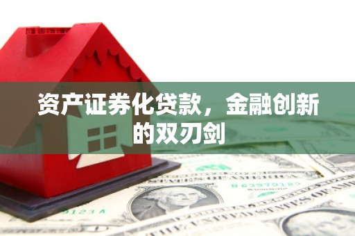 苗栗资产证券化贷款，金融创新的双刃剑