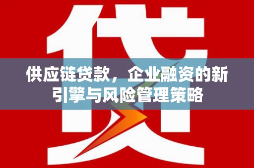 边坝供应链贷款，企业融资的新引擎与风险管理策略