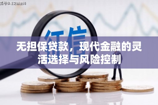 镇原无担保贷款，现代金融的灵活选择与风险控制