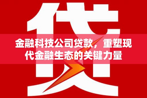 娄烦金融科技公司贷款，重塑现代金融生态的关键力量