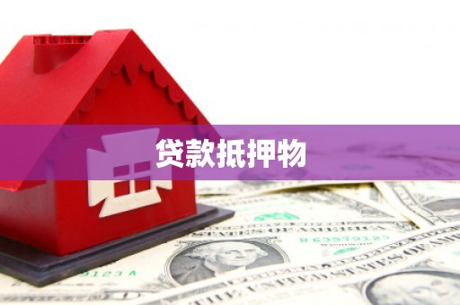 崇阳贷款抵押物