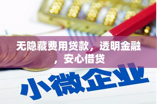 莎车无隐藏费用贷款，透明金融，安心借贷