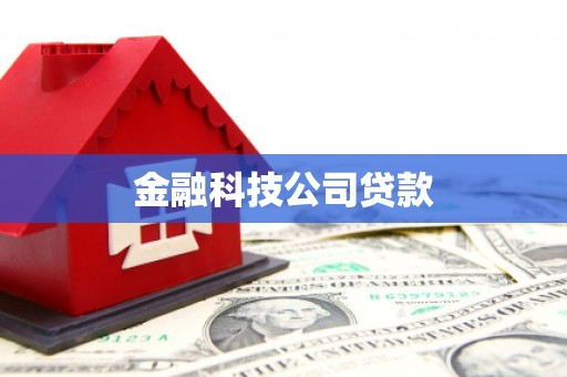 图们金融科技公司贷款