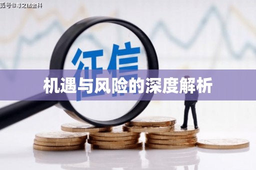 淄博机遇与风险的深度解析