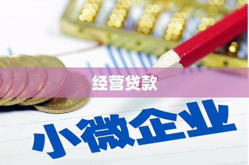顺平经营贷款