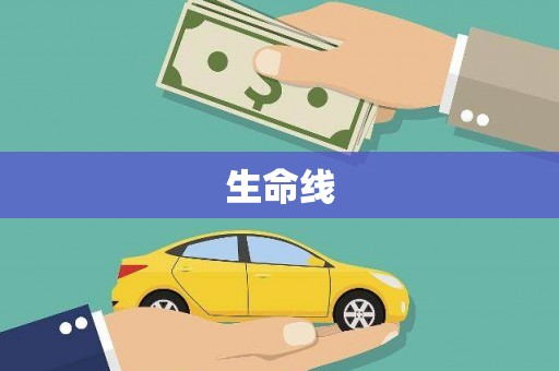 学甲生命线