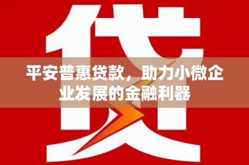 北林平安普惠贷款，助力小微企业发展的金融利器