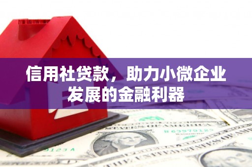 夏津信用社贷款，助力小微企业发展的金融利器