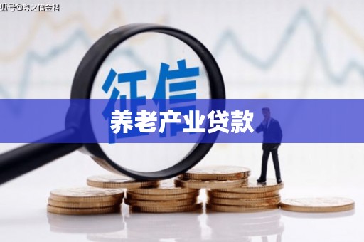 灵山养老产业贷款